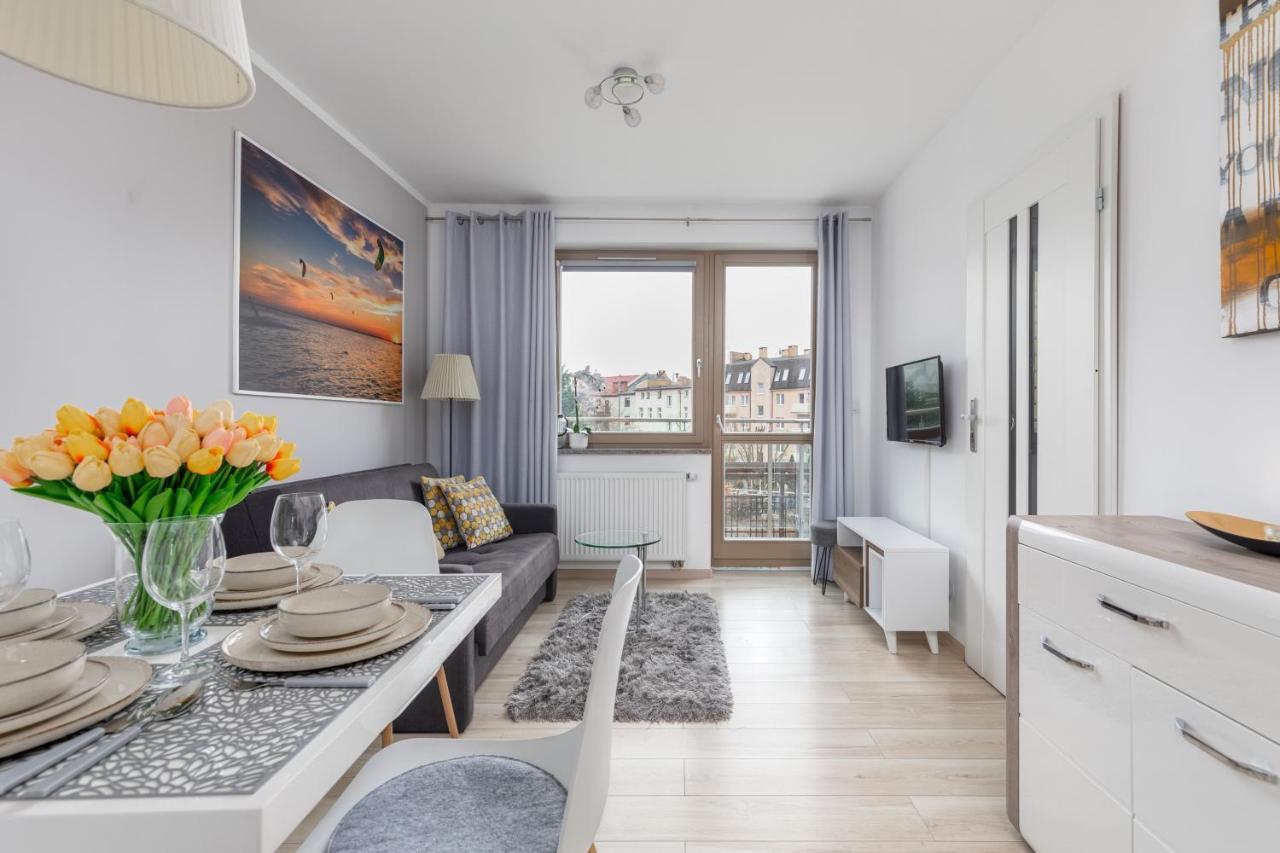 Wind Rose Quarter By Renters *