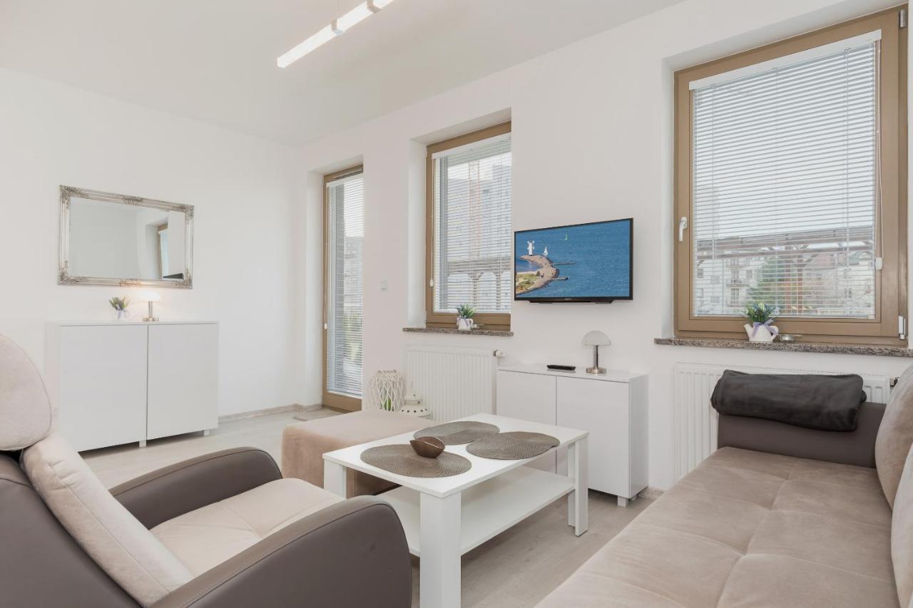 Wind Rose Quarter By Renters